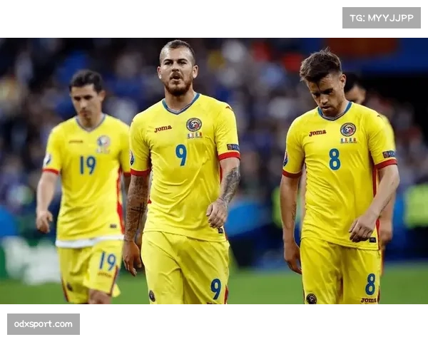 波黑与罗马尼亚直接对话 影响小组第二归属